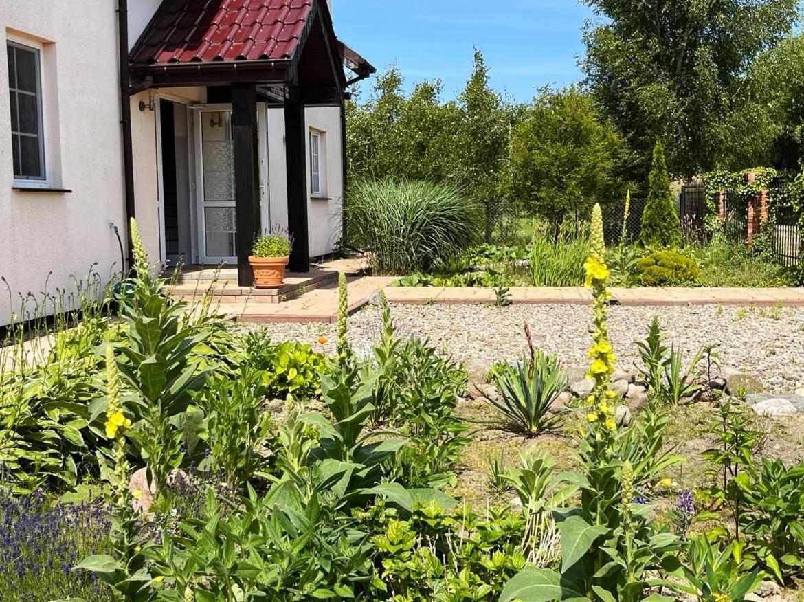 Pokoje Goscinne Neptunia Rusinowo  Exterior foto